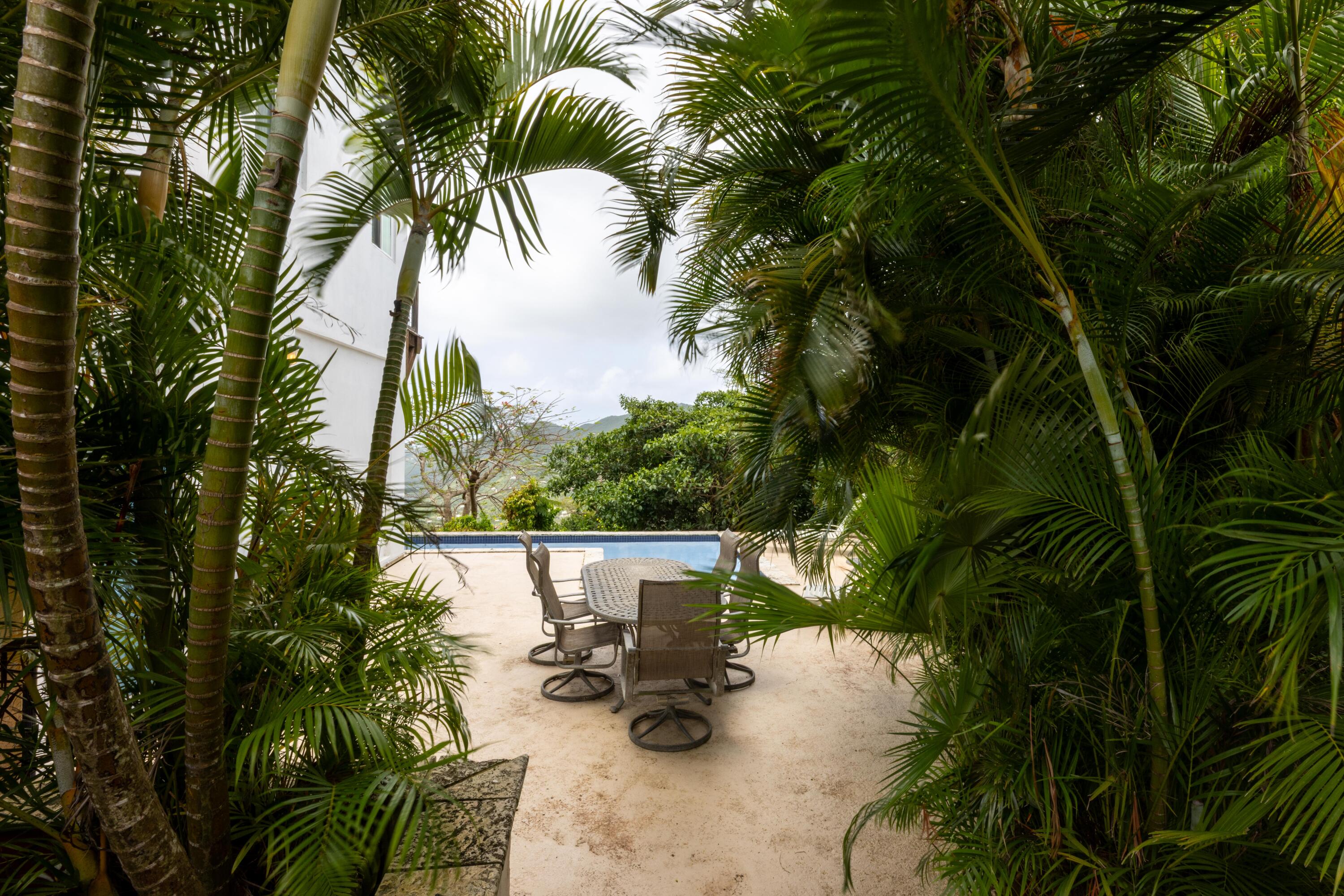 6-3-92 Carolina, St John