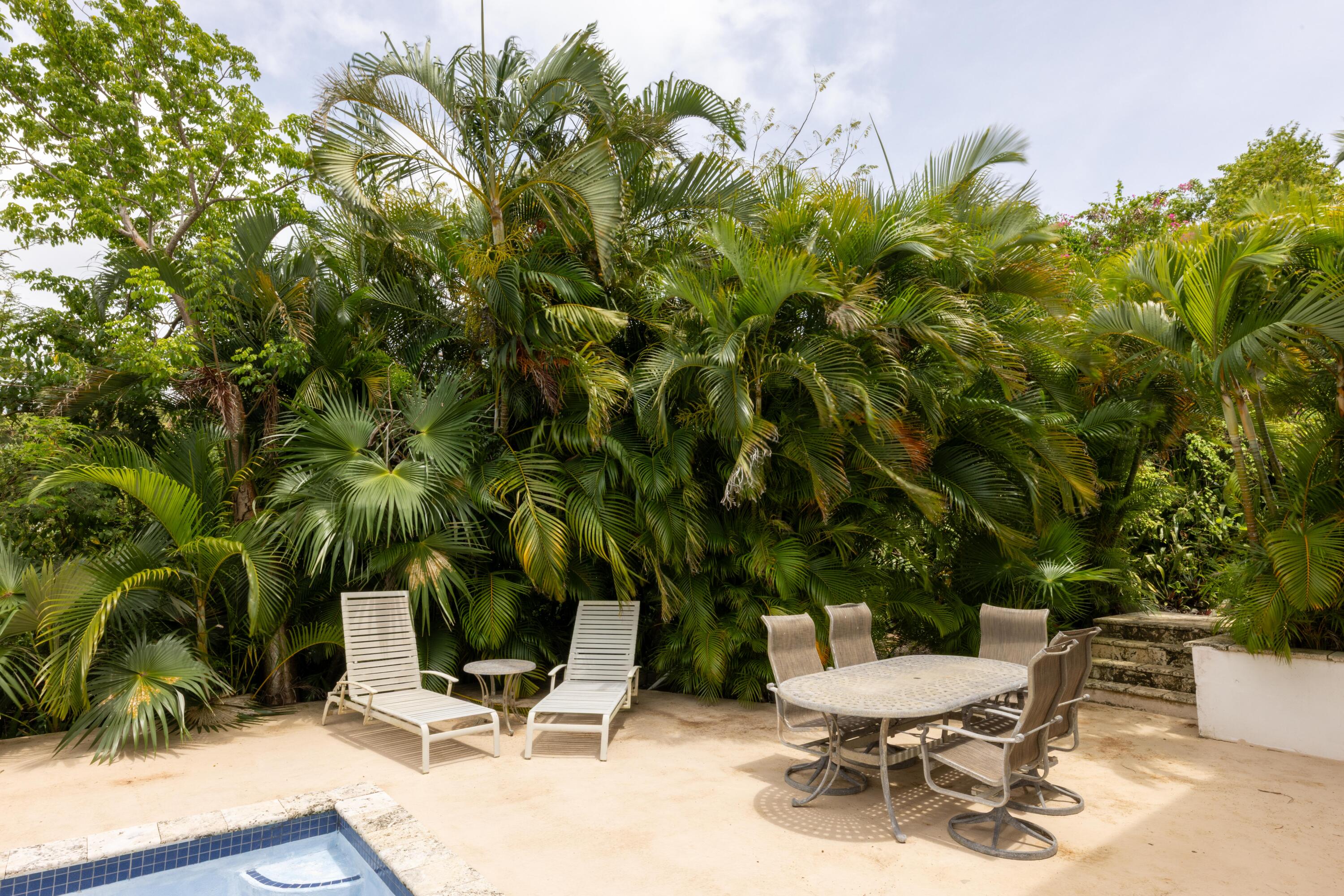 6-3-92 Carolina, St John