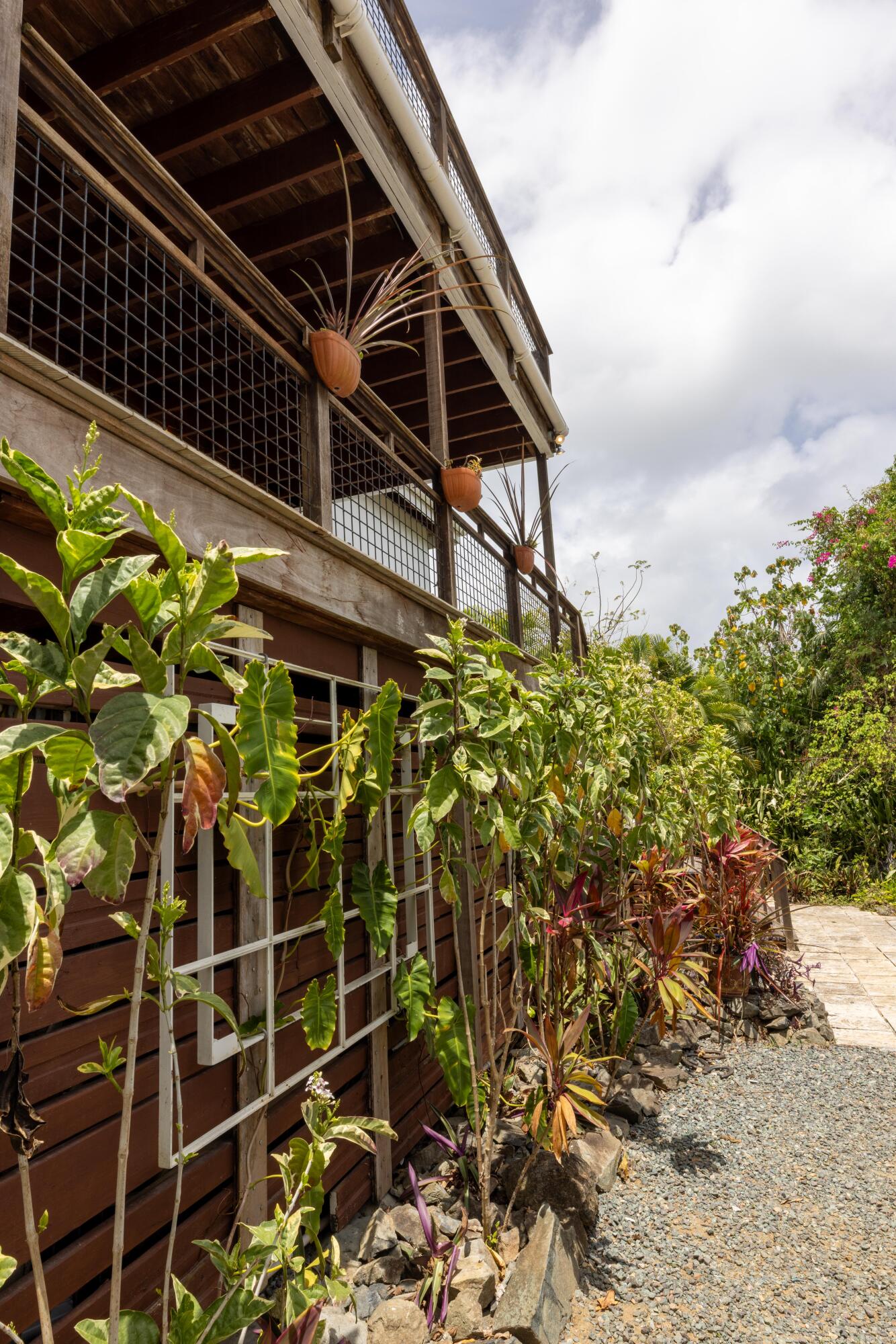 6-3-92 Carolina, St John