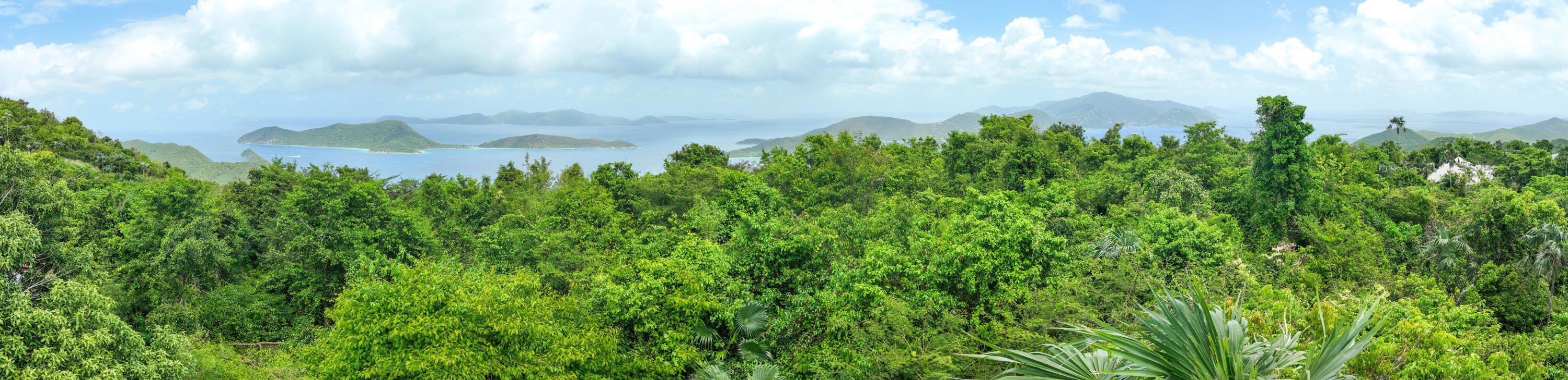 6-3-92 Carolina, St John