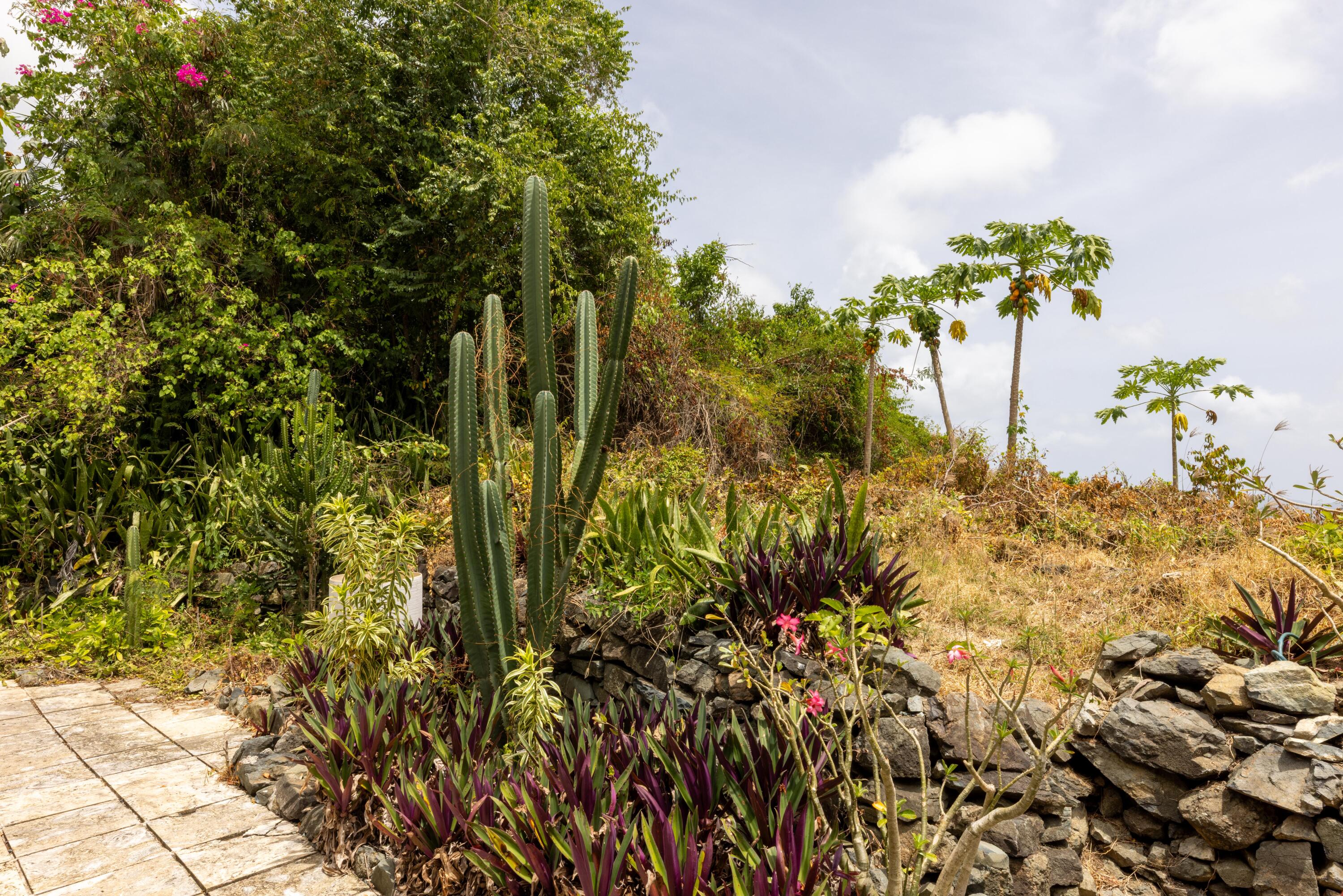 6-3-92 Carolina, St John