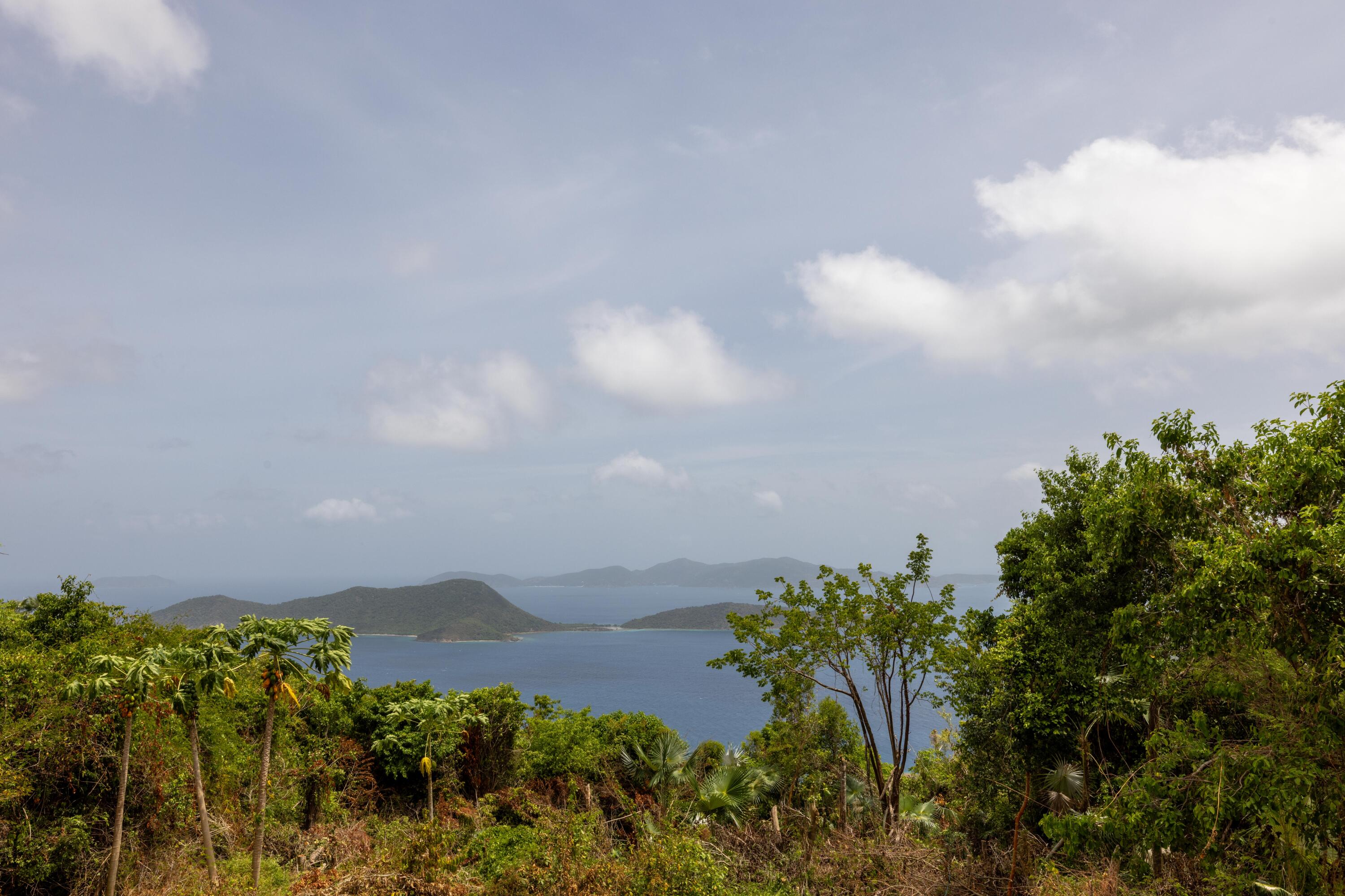 6-3-92 Carolina, St John