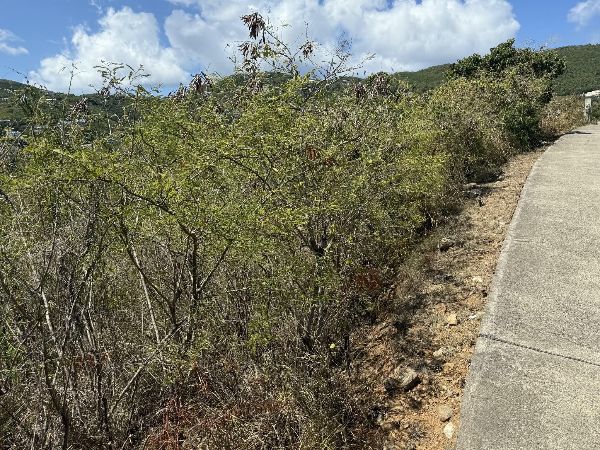 21-27 Frenchman Bay FB