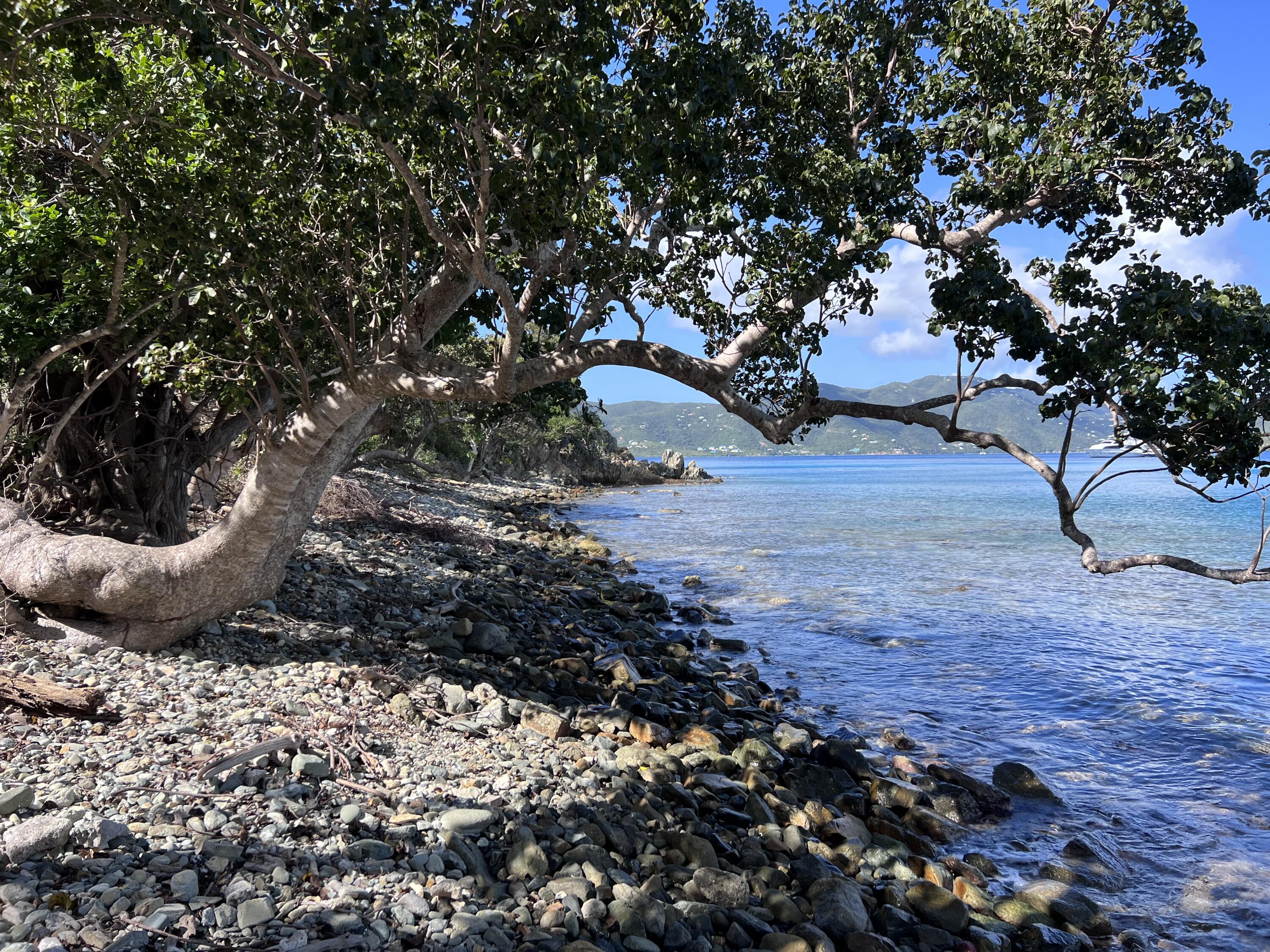 6P-2A Hansen Bay, St John