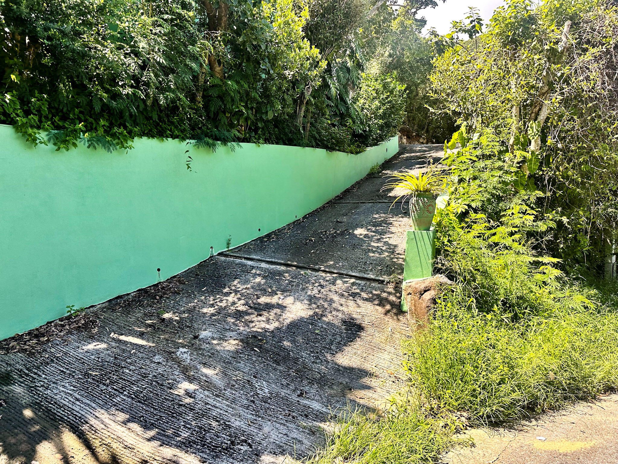 6-S REM Ben Runnels Gut, St John