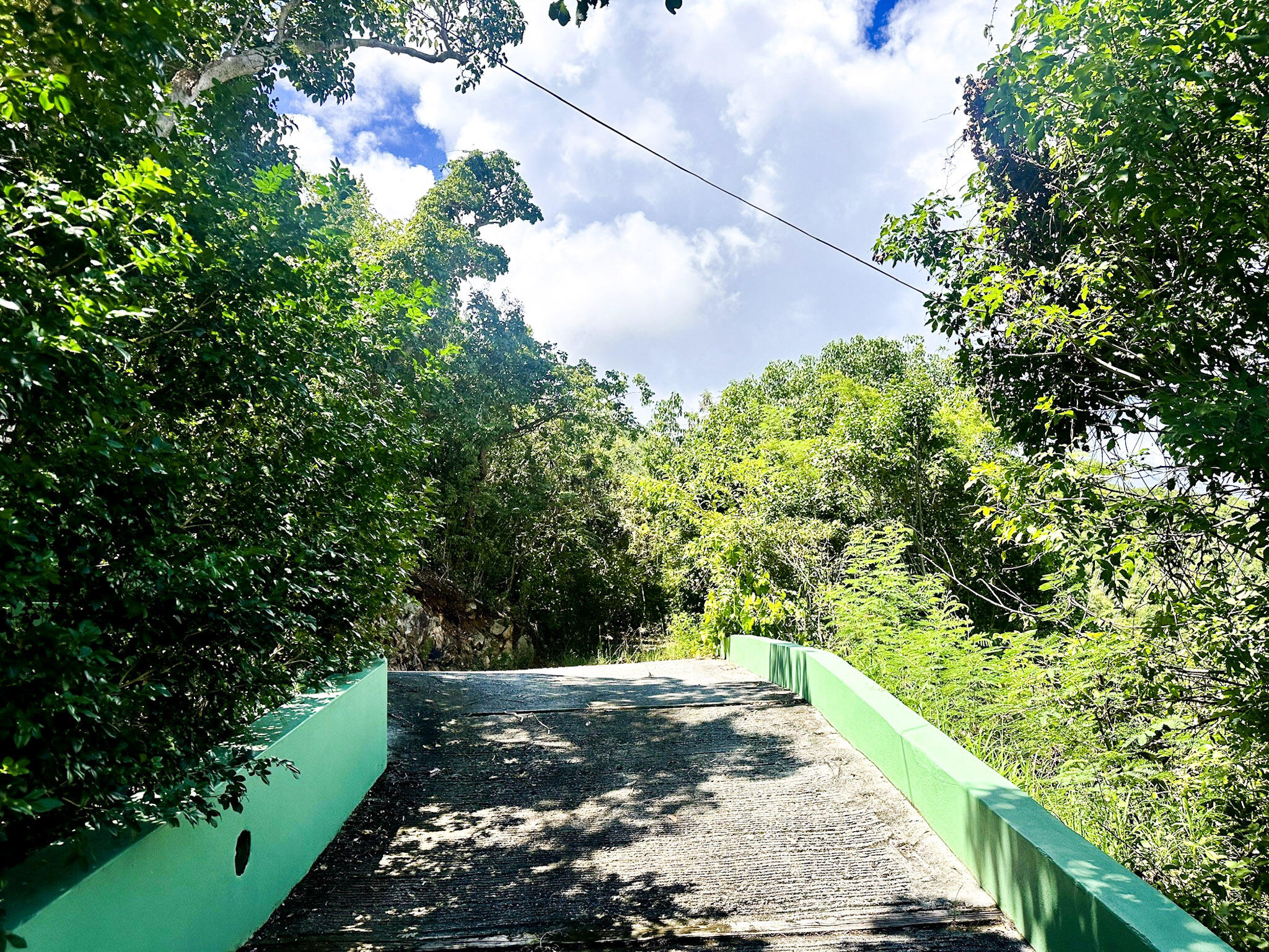 6-S REM Ben Runnels Gut, St John