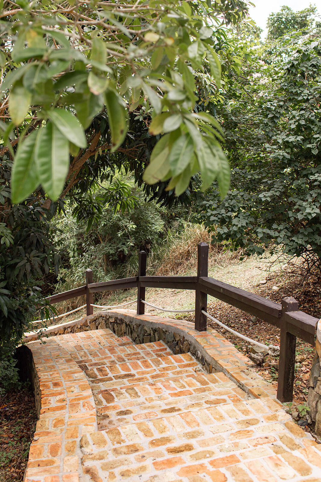 8G Carolina, St John