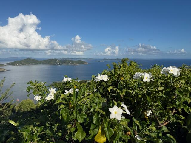 29B Calabash Boom, St John