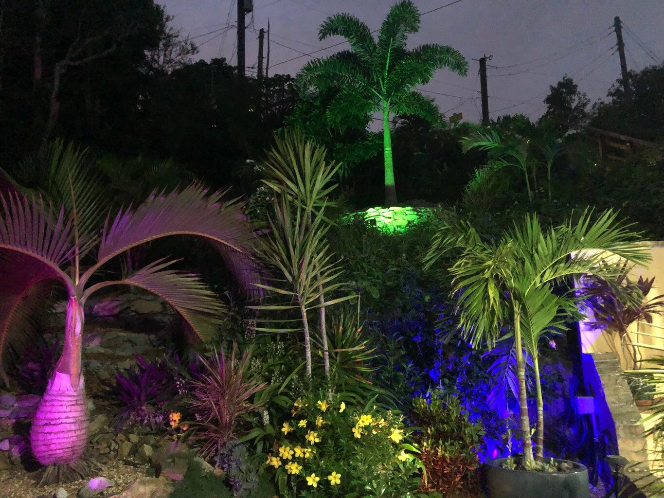 10-22 REM Carolina, St John