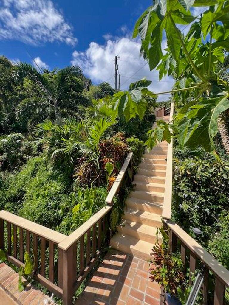 10-22 REM Carolina, St John