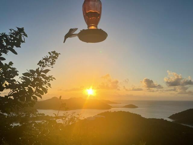 17D-3 Emmaus, St John