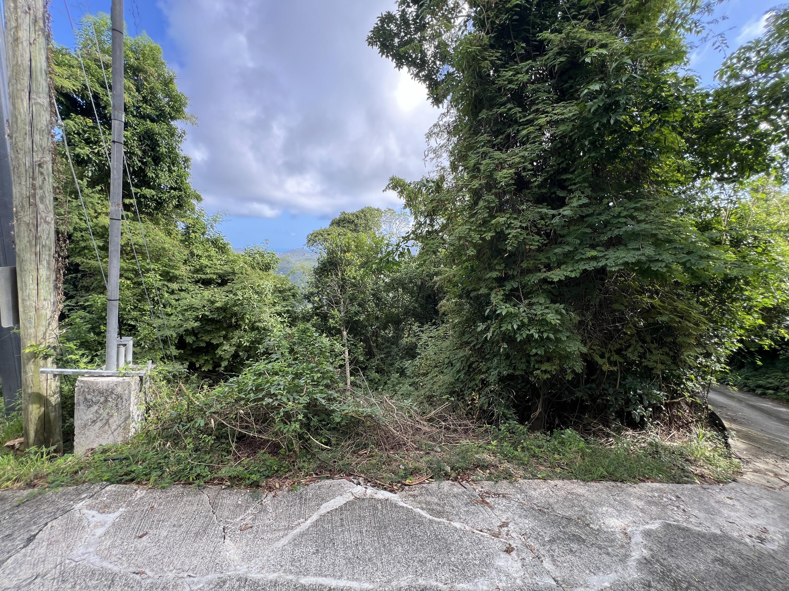 10-30C REM Carolina, St John