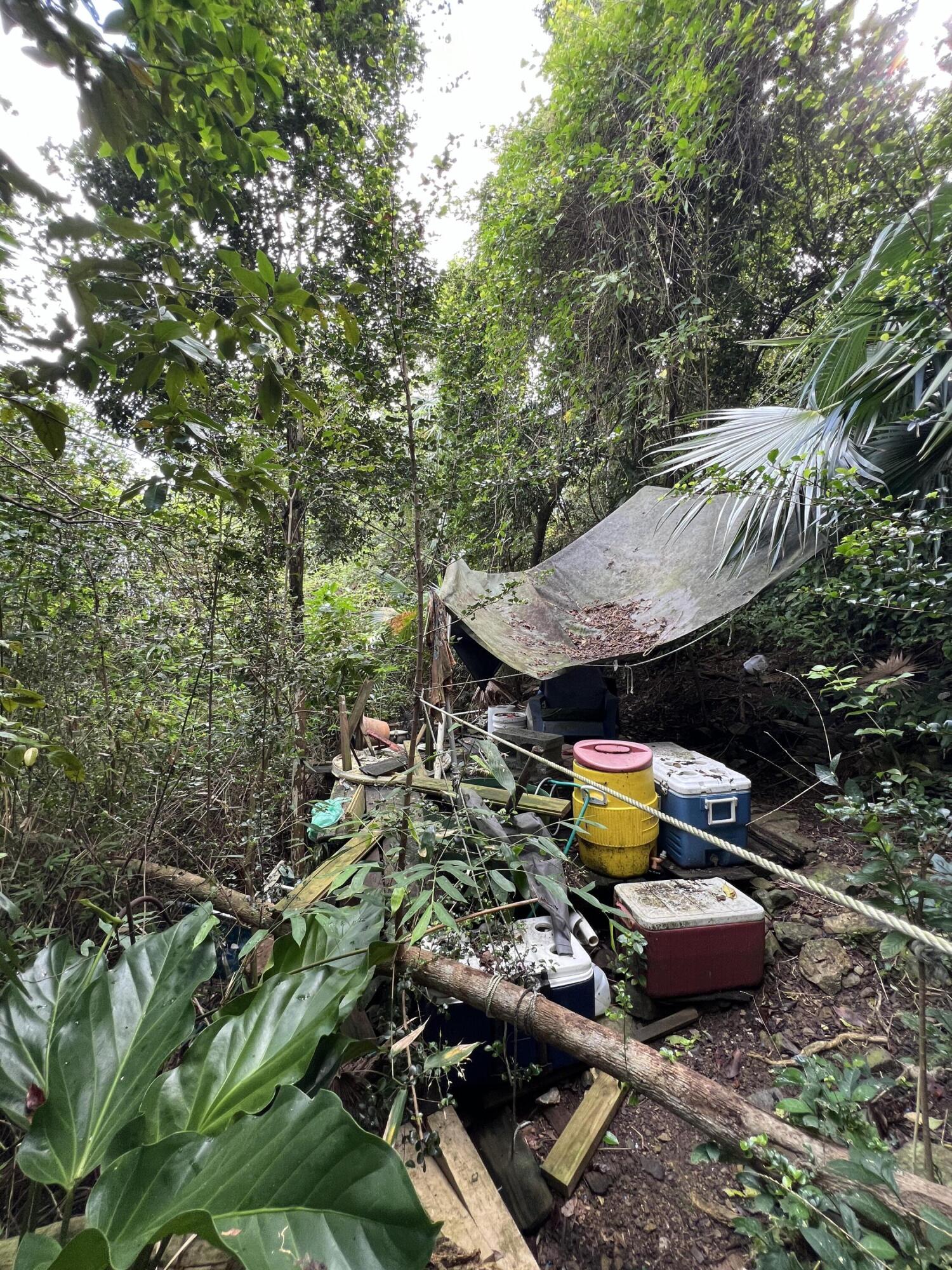 10-30C REM Carolina, St John