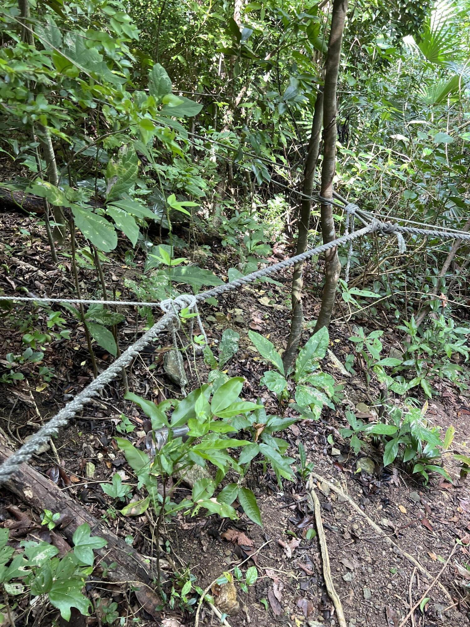 10-30C REM Carolina, St John