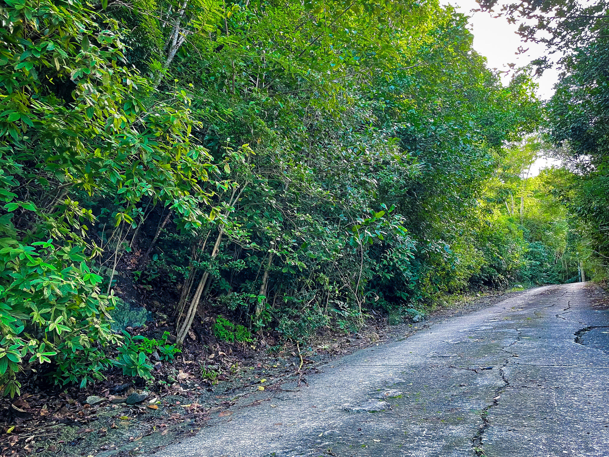 10B-5 Carolina, St John