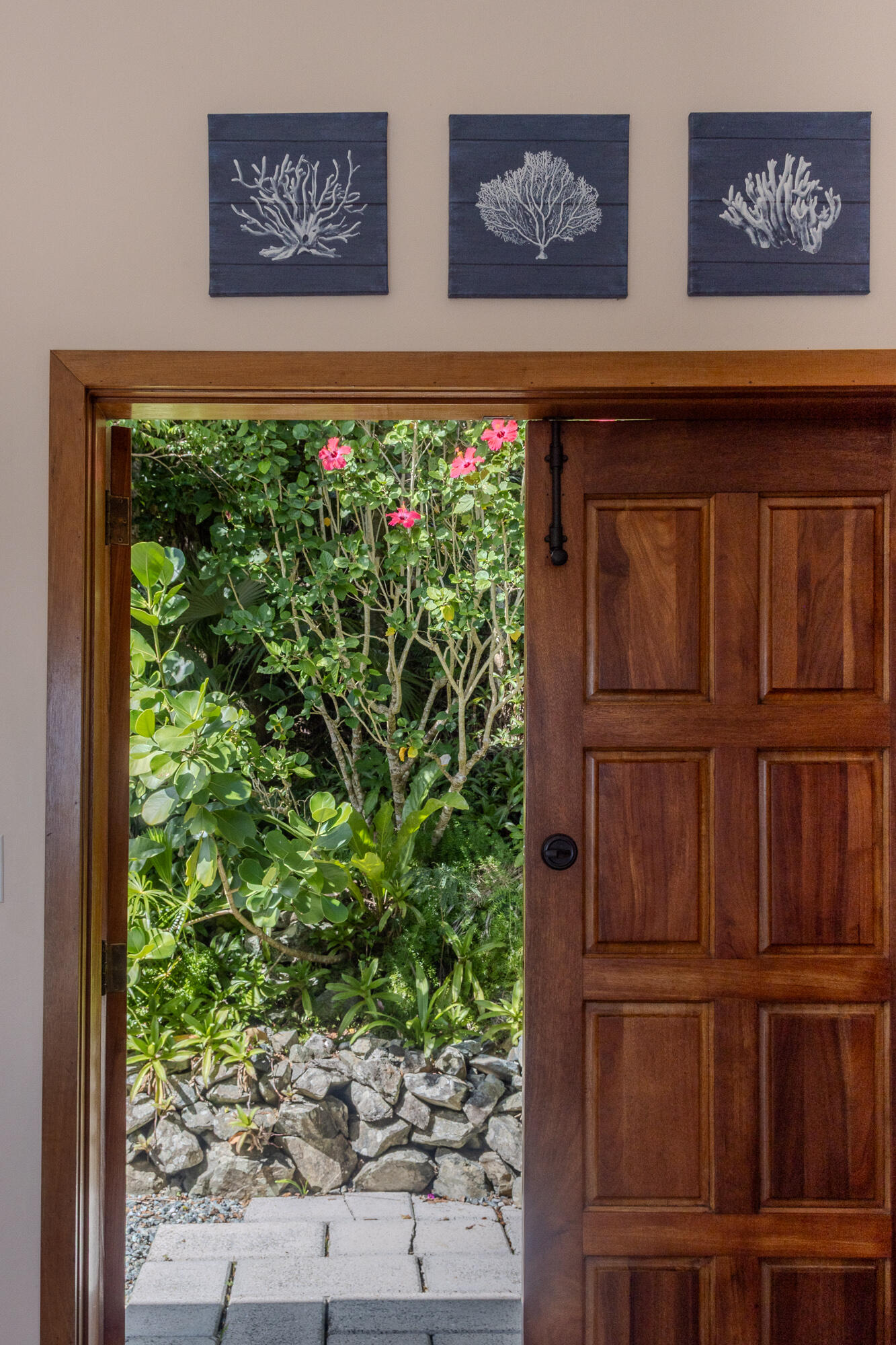 7H-8, 7H-7 Carolina, St John