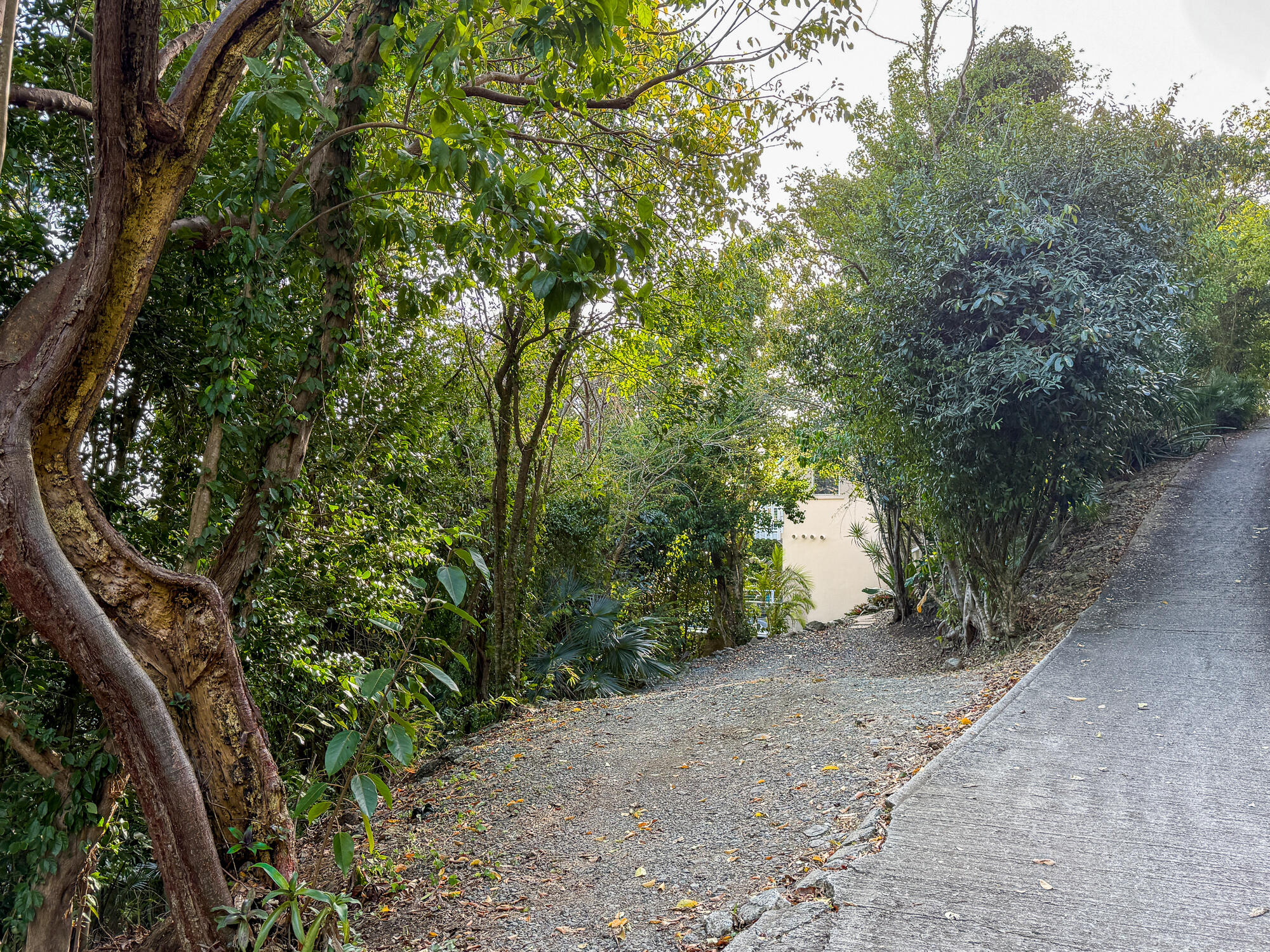 7H-8, 7H-7 Carolina, St John