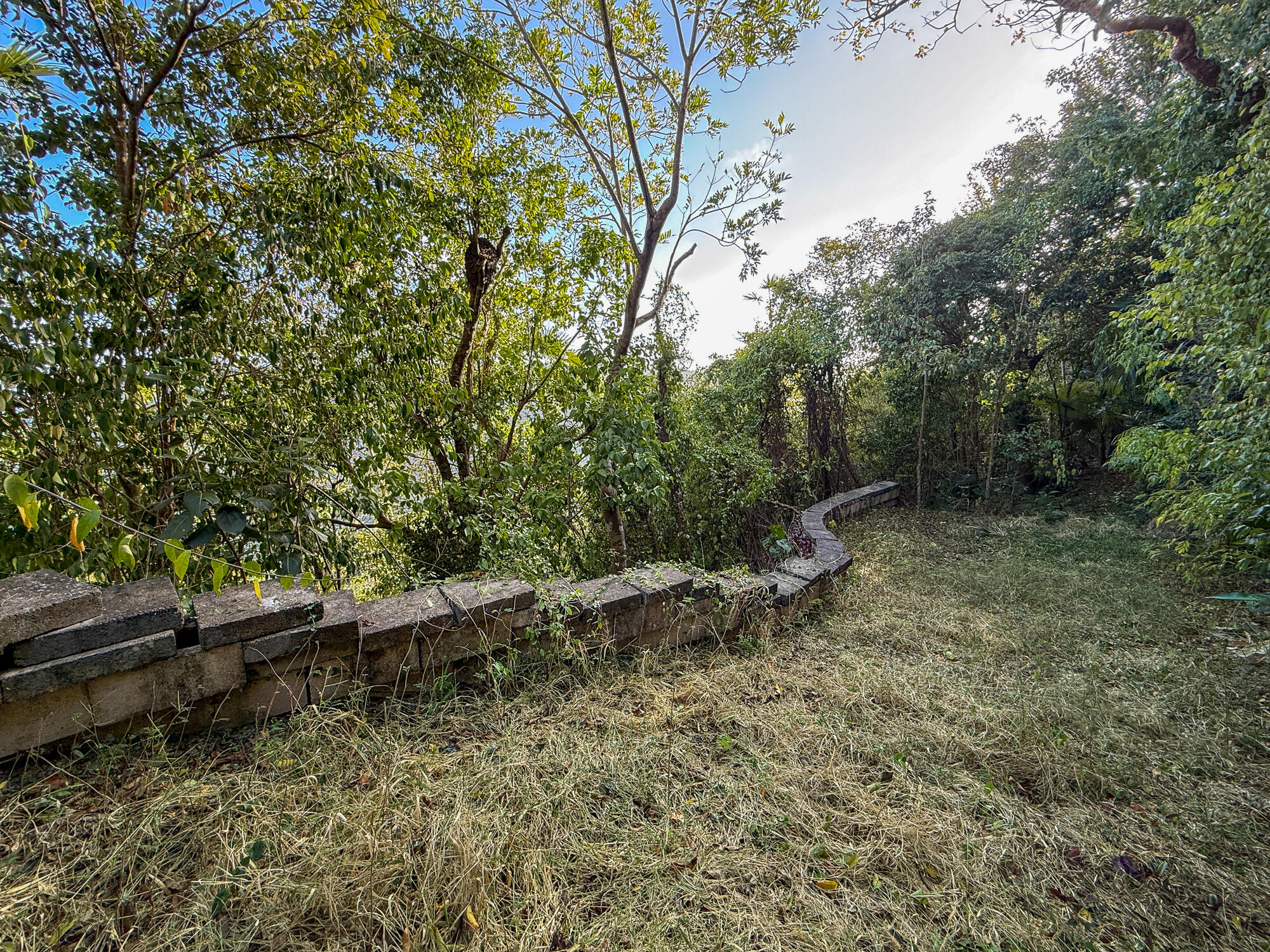 7H-8, 7H-7 Carolina, St John