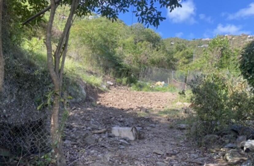 10-29-6 Carolina, St John