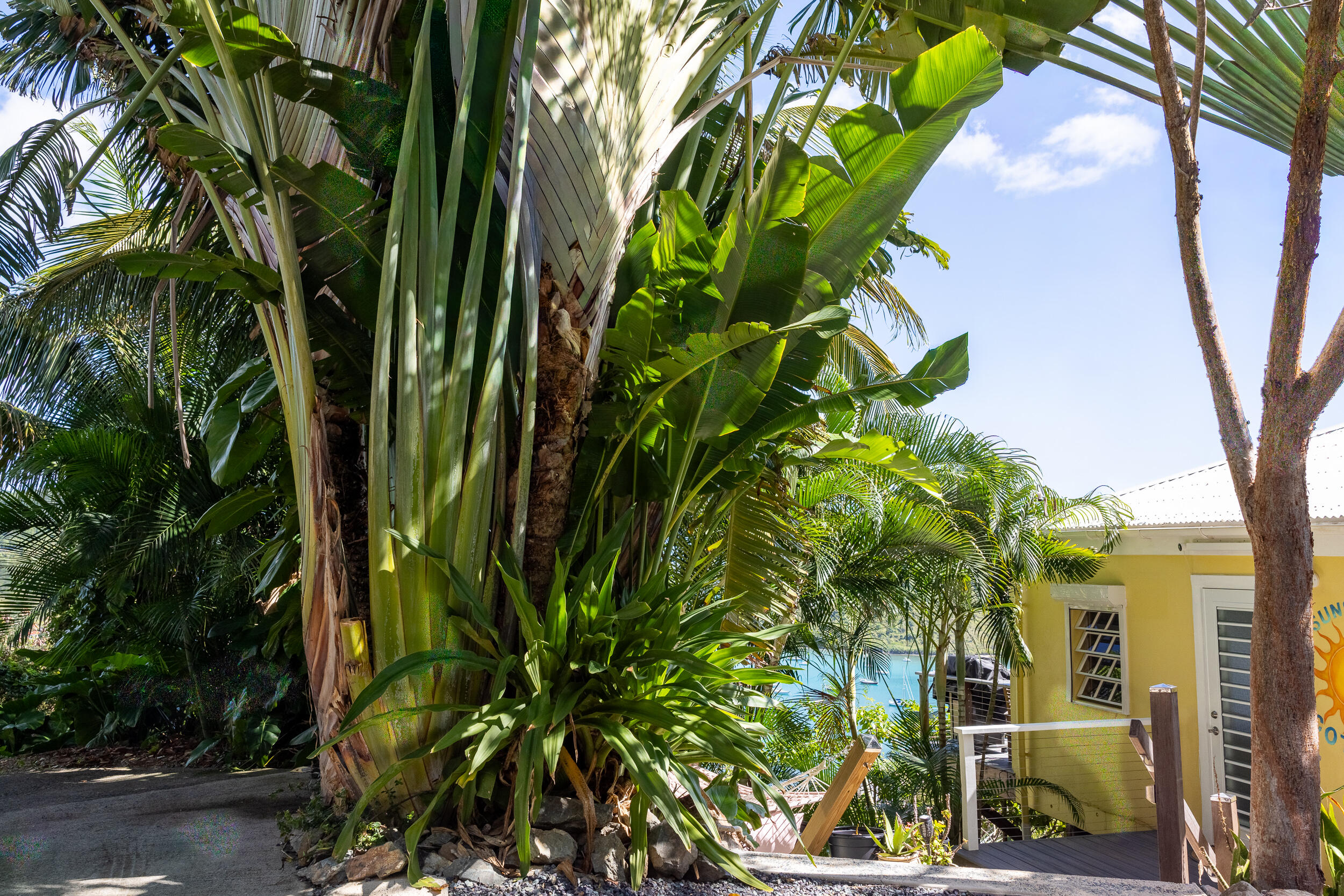 10-27-4B Carolina, St John