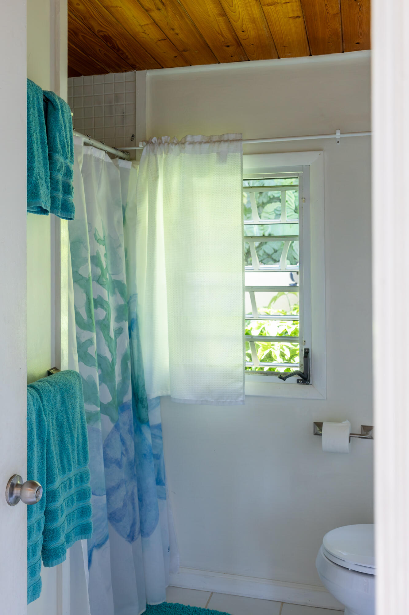 10-27-4B Carolina, St John