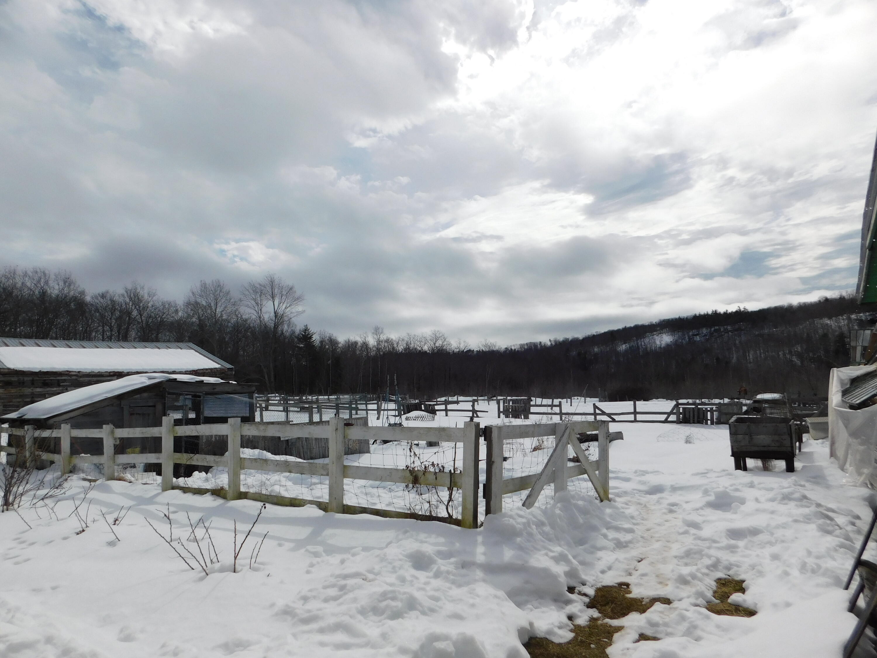 1546 Bear Pond Road