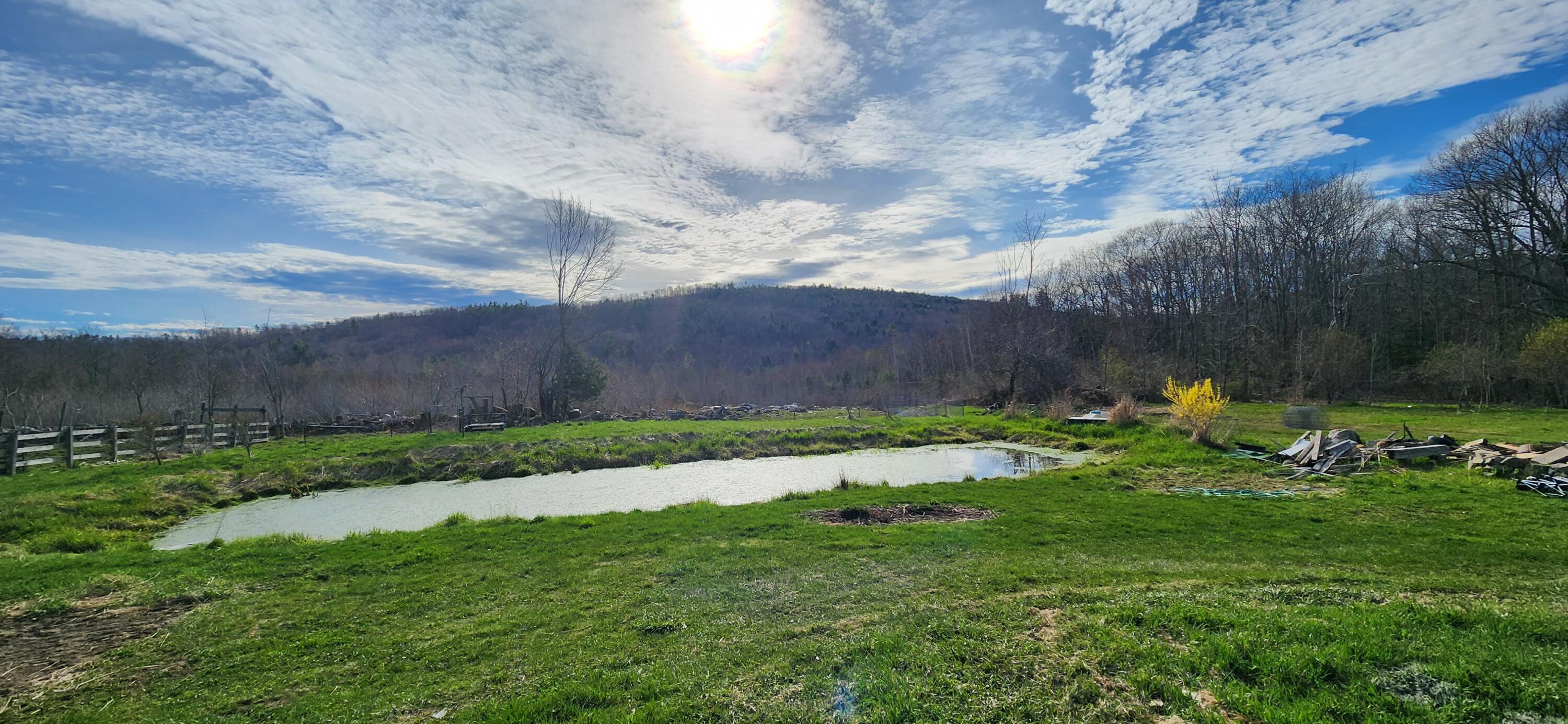 1546 Bear Pond Road