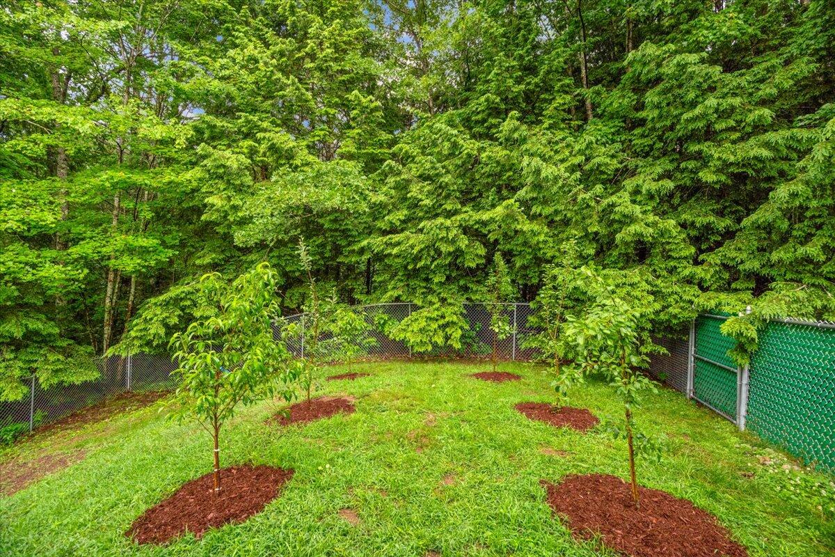 309 Tandberg Trail