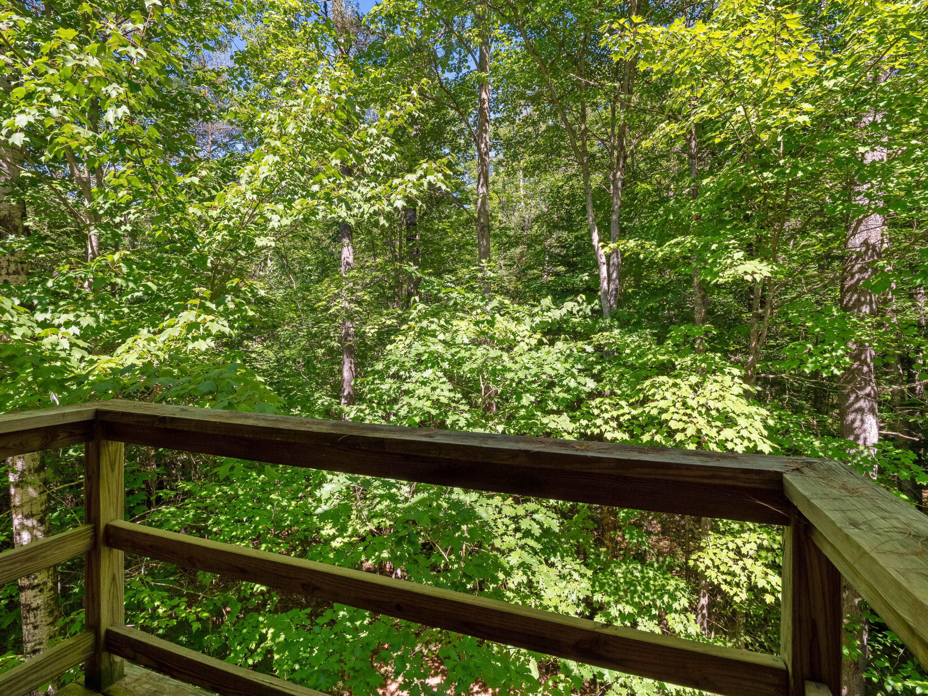 2239 Intervale Road