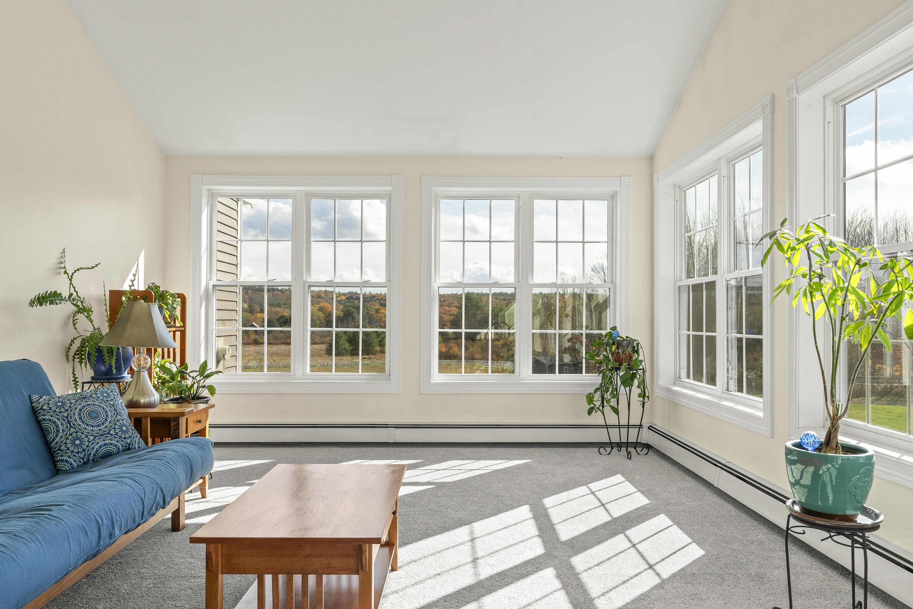 151 Patterson Road