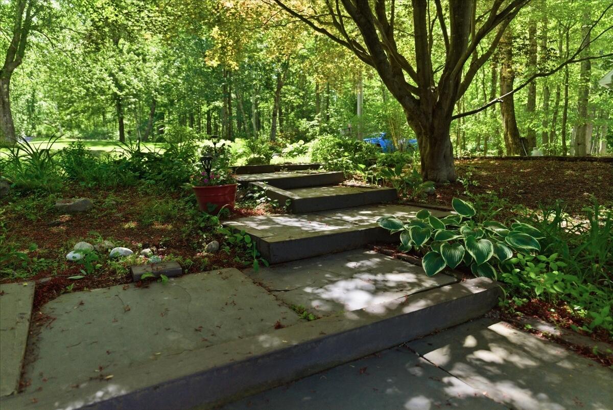 55 Birch Drive