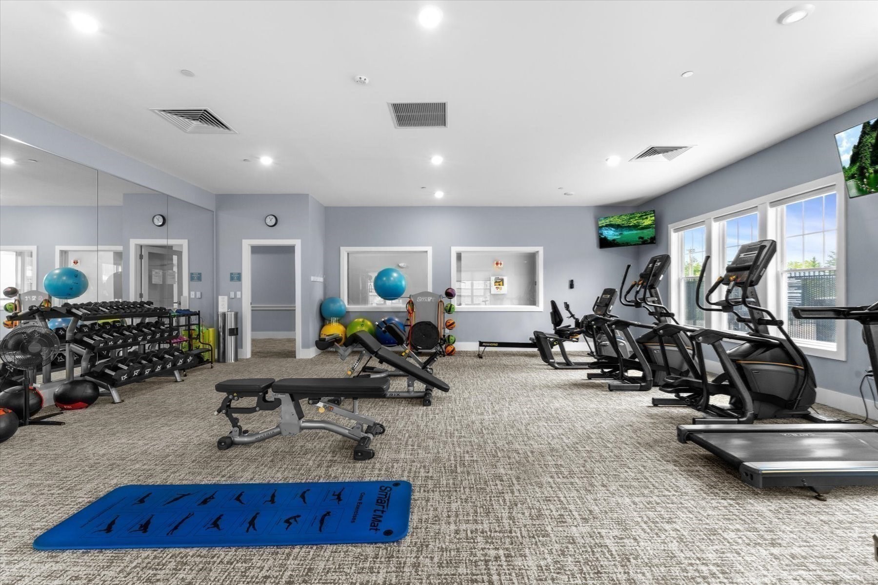 Residential fitness room with cardio machines, free weights, exercise balls, and large windows.