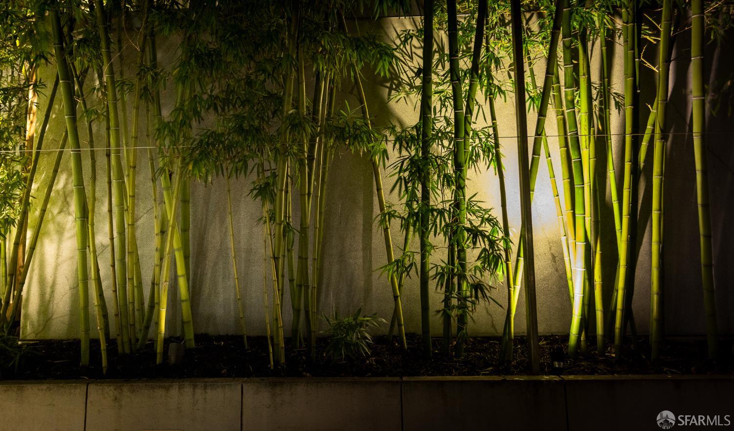 301 Main Street # 16H