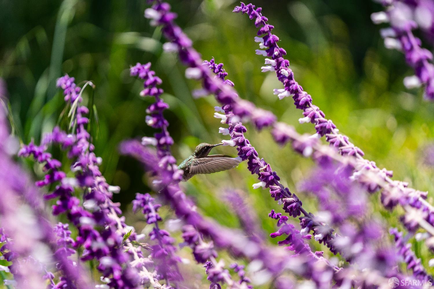 52 Kirkwood Avenue # 416