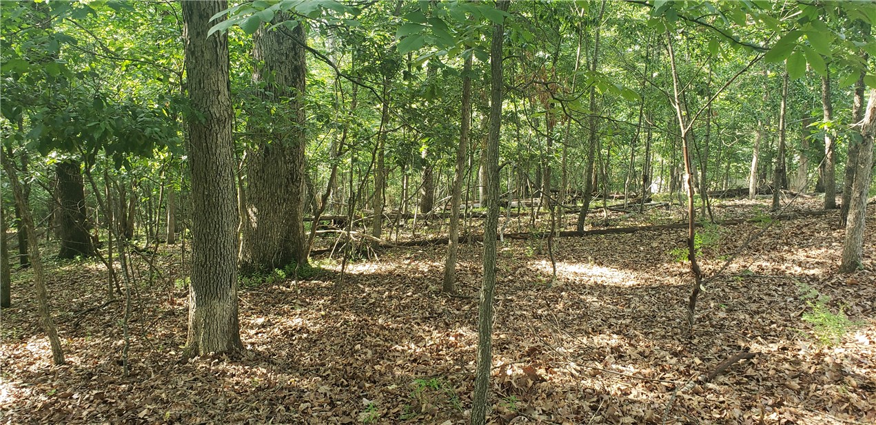 Ockley Lane