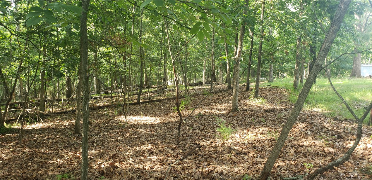 Ockley Lane