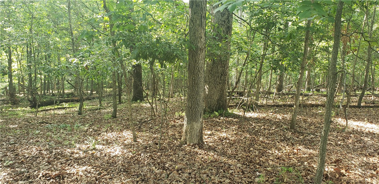 Ockley Lane