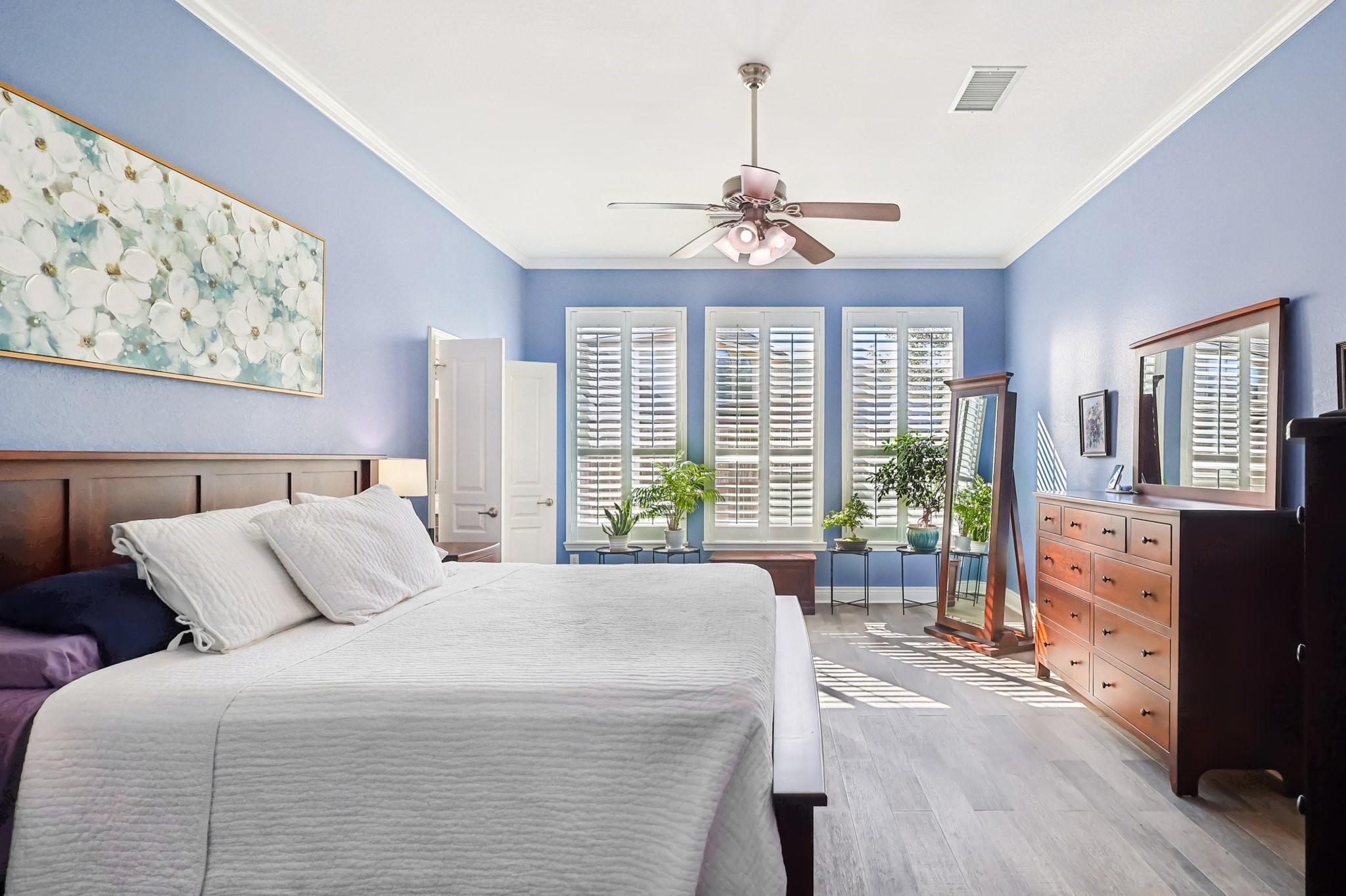 3205 Ashe Creek Drive