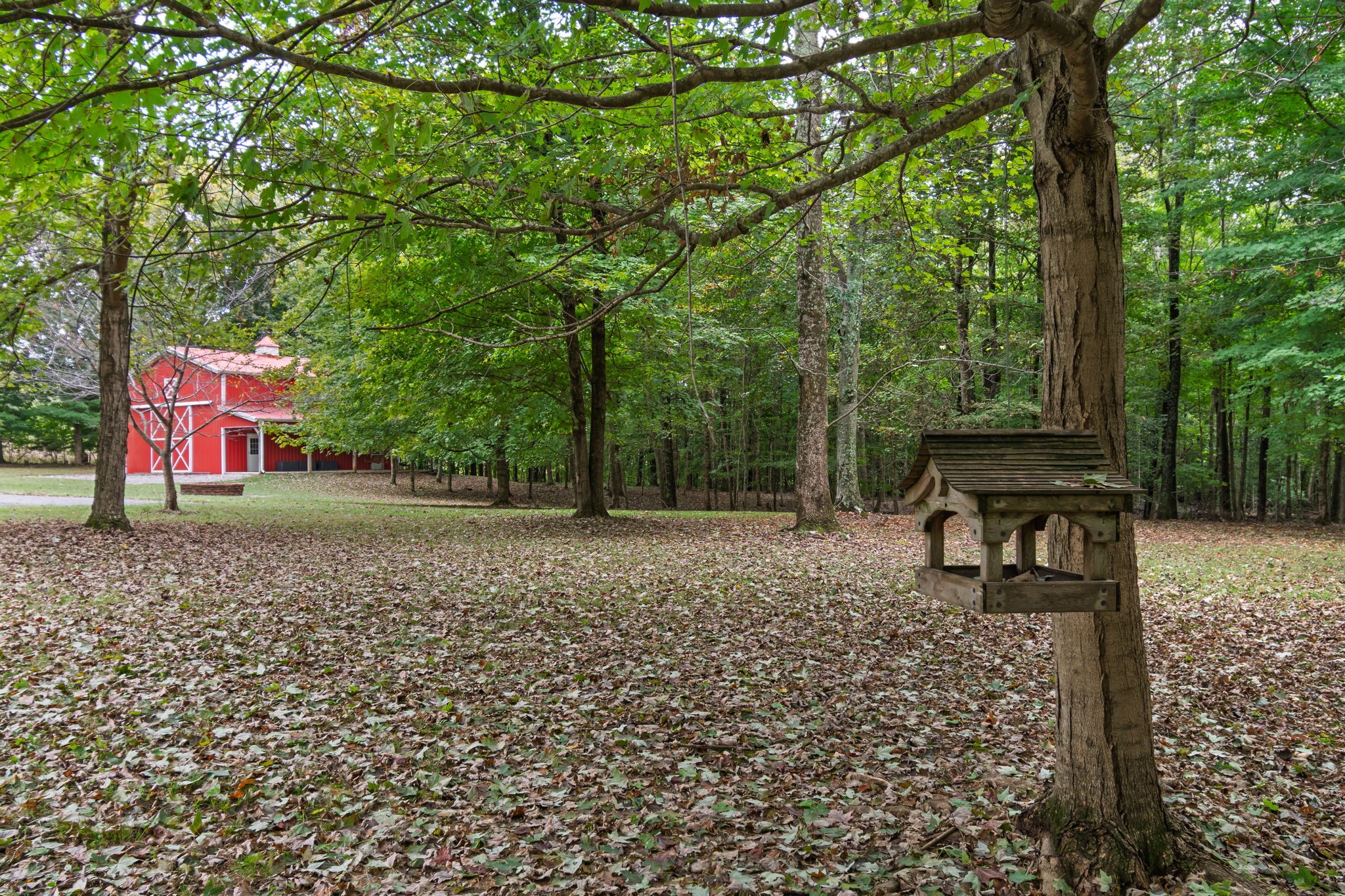 5756 Burgess Gower Rd