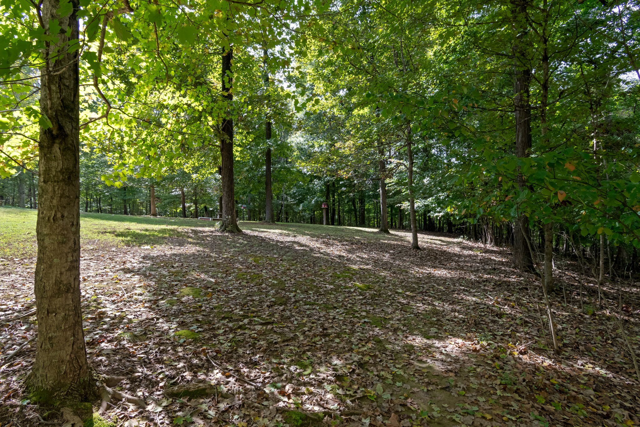 5756 Burgess Gower Rd