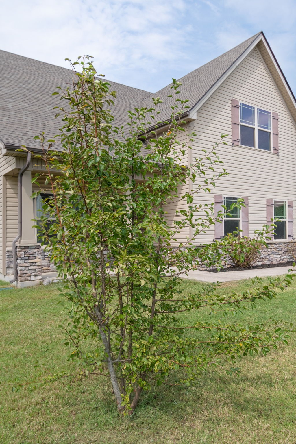 1504 Halverson Dr