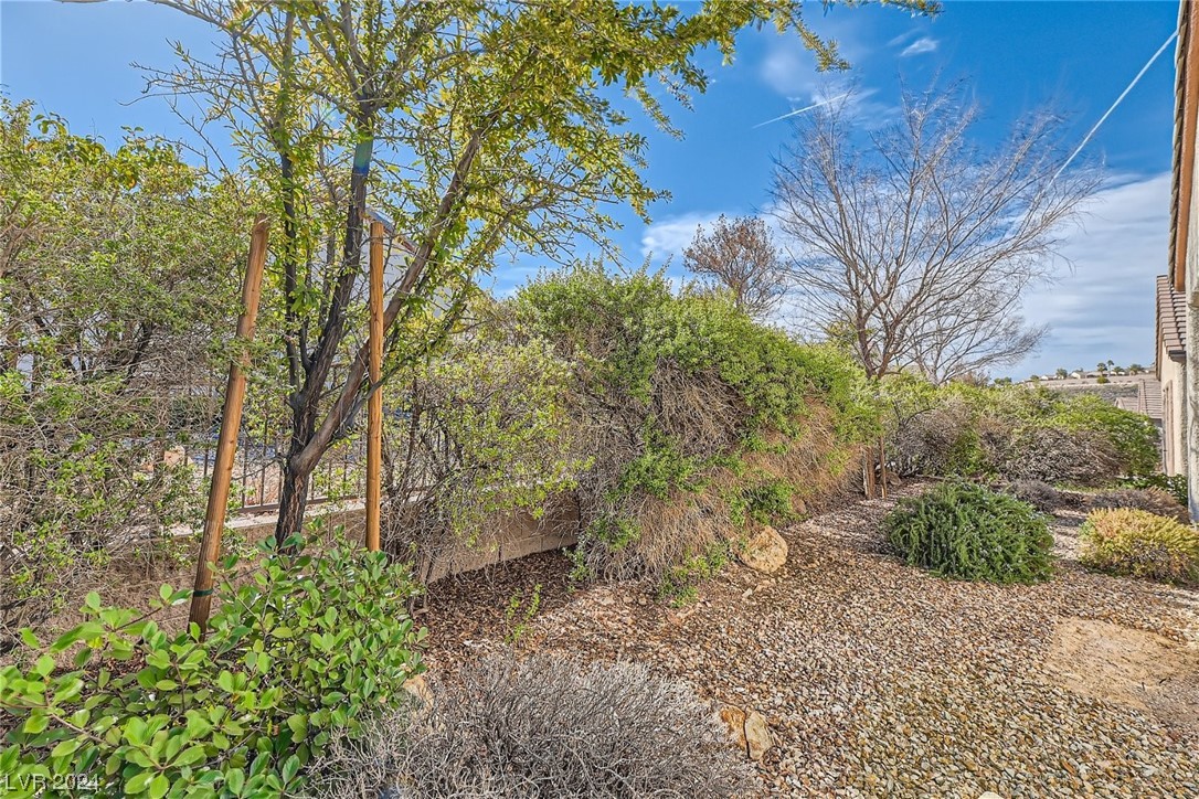 2539 Sirius Star Street