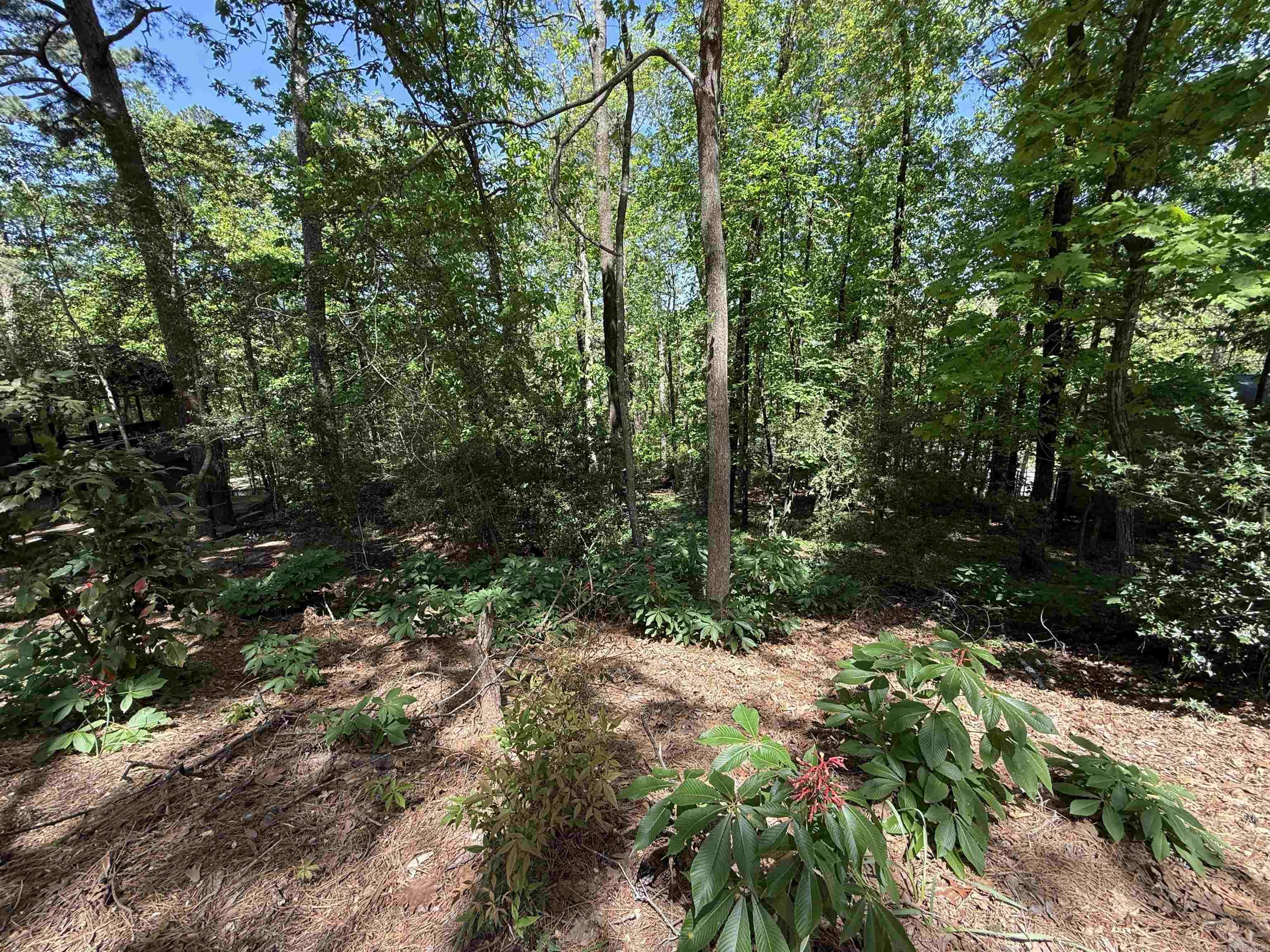 000 Foxhunt Trail Lot