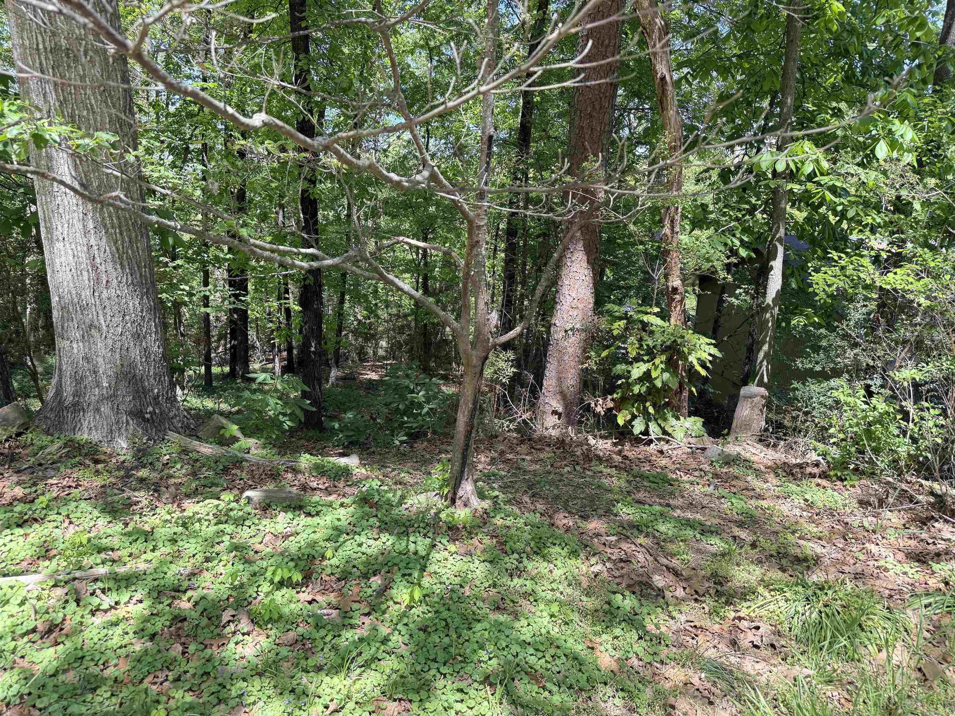 000 Foxhunt Trail Lot