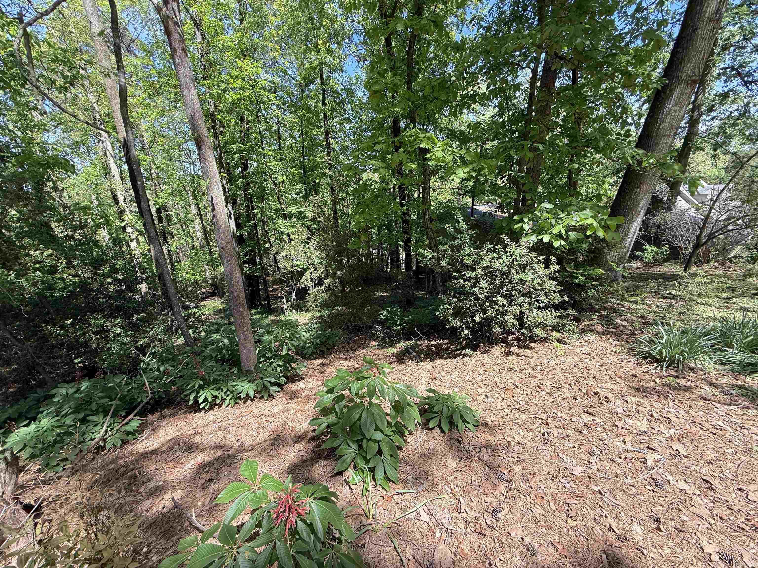 000 Foxhunt Trail Lot