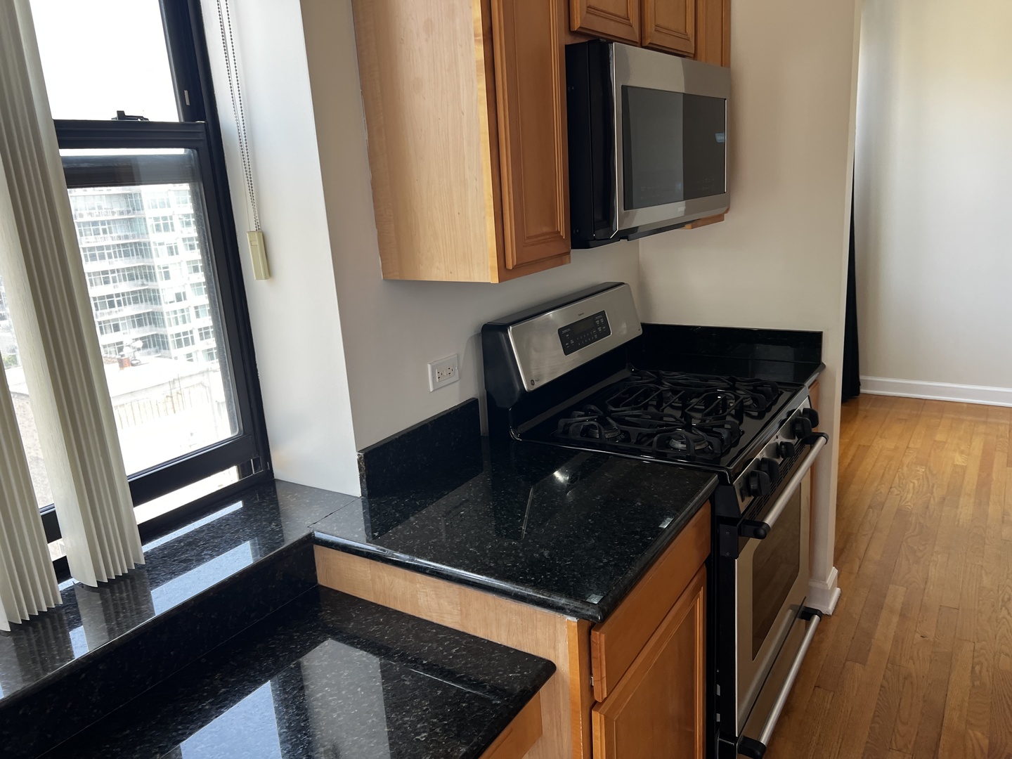 1529 S State Street Unit: 13A