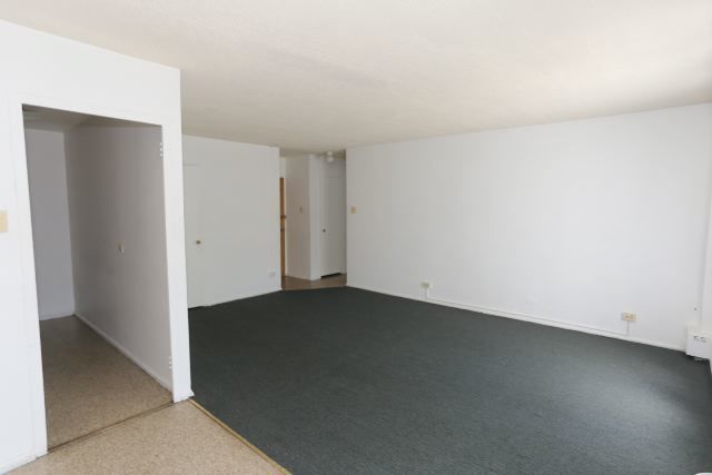 7333 N Ridge Boulevard Unit: 205