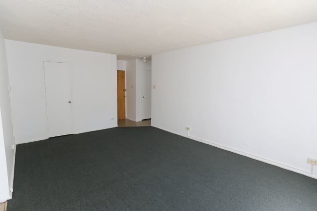 7333 N Ridge Boulevard Unit: 205