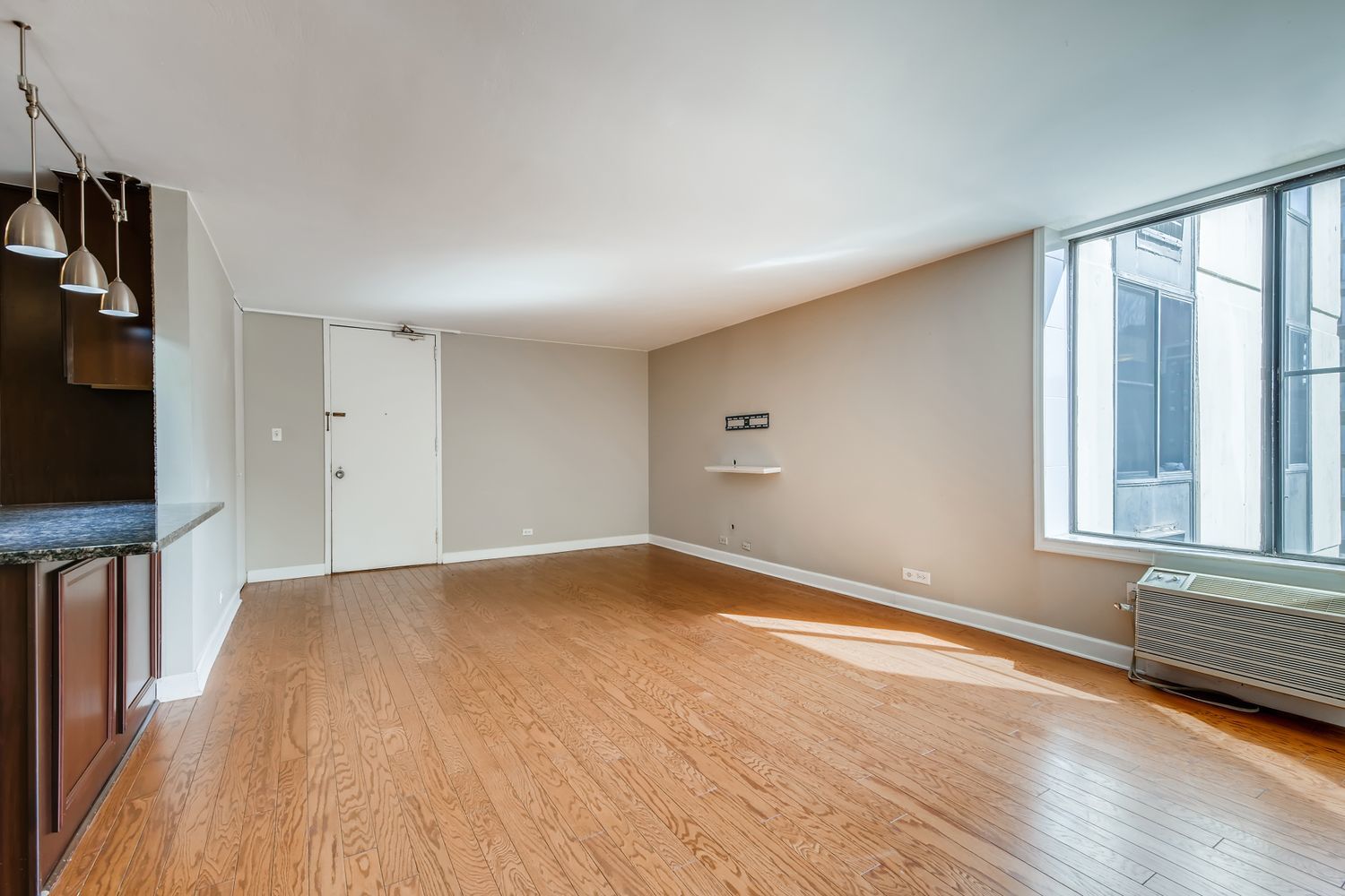 1339 N Dearborn Street Unit: 11H