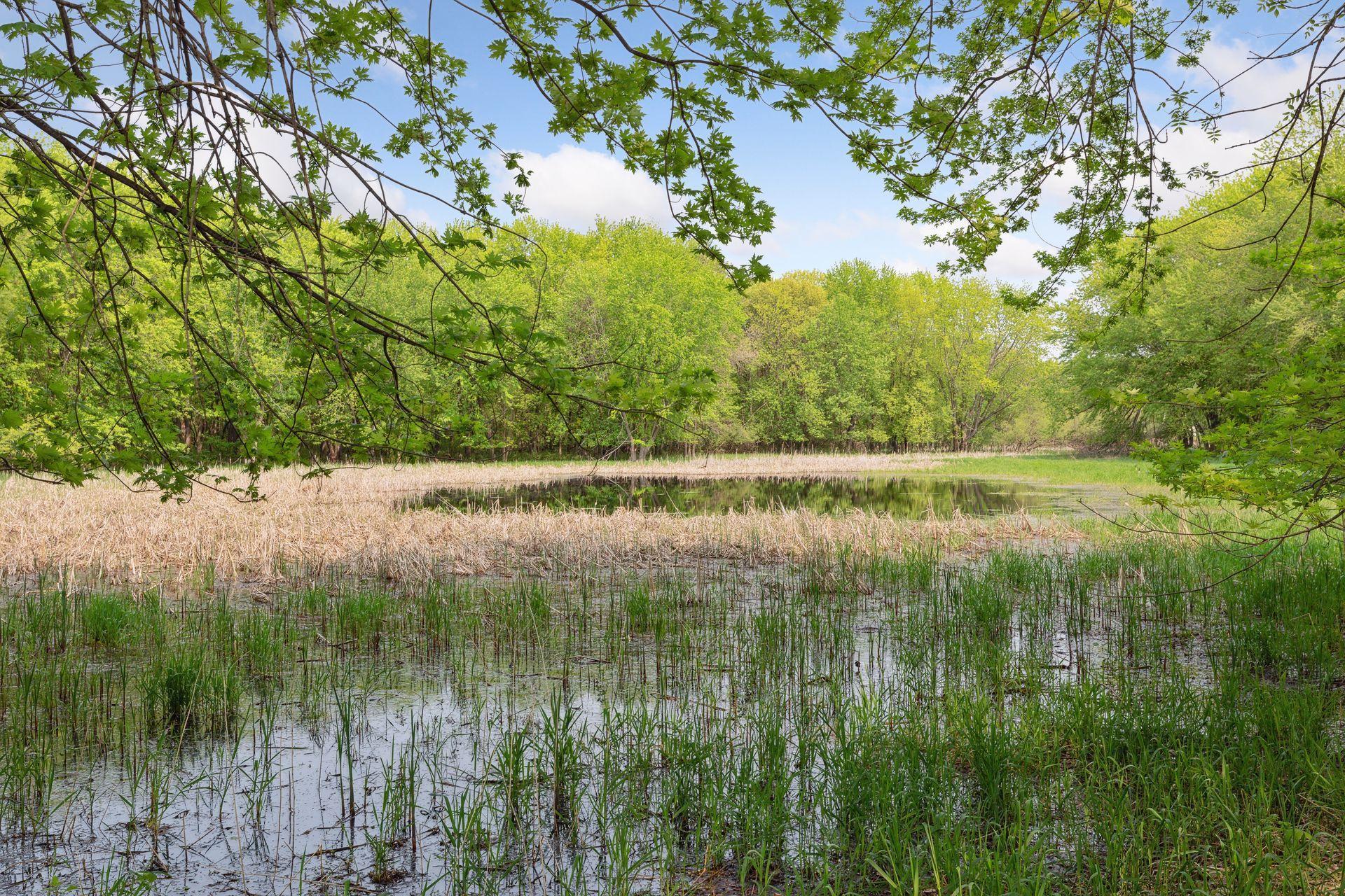 5251 Pathways Avenue